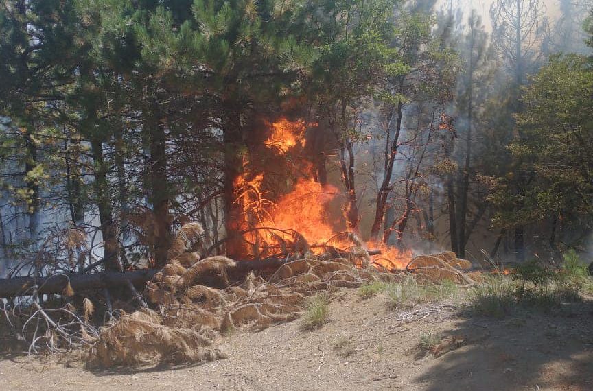 Incendios forestales: ¿llegará el humo a Cutral Co y Plaza Huincul?