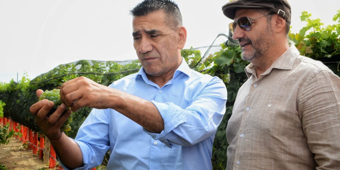 Rioseco apunta a potenciar la vitivinicultura en Cutral Co