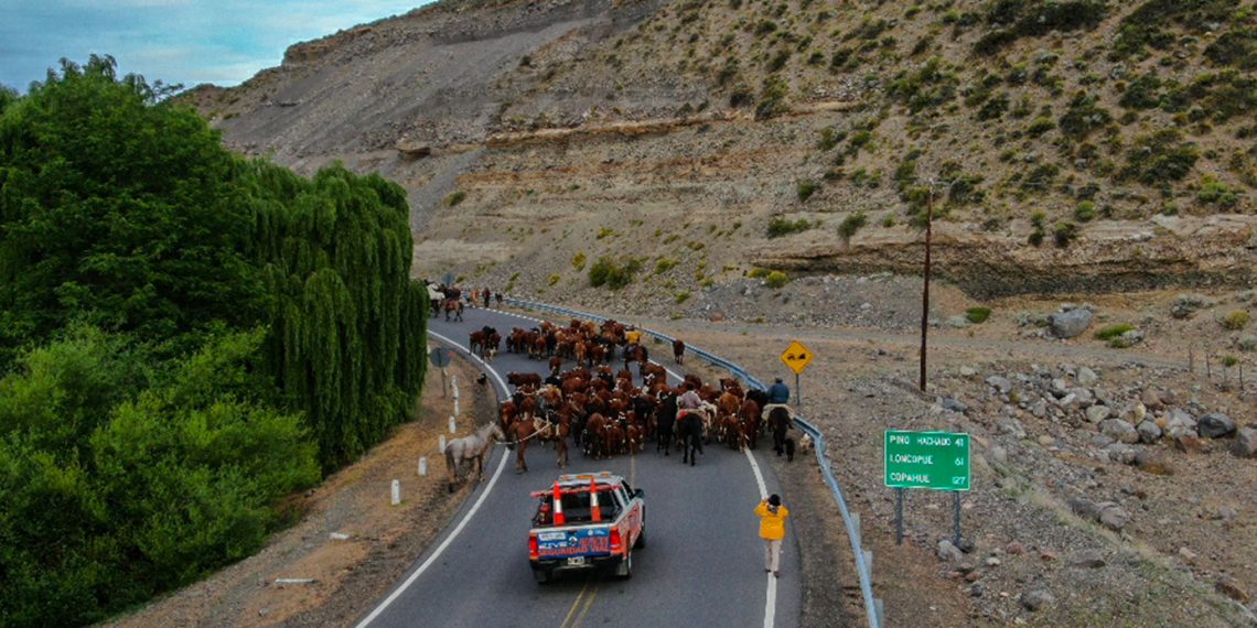 Seguridad Vial despliega móviles en las rutas neuquinas durante el fin de semana largo