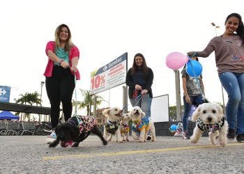 Habrá encuentro mascotero en Cutral Co