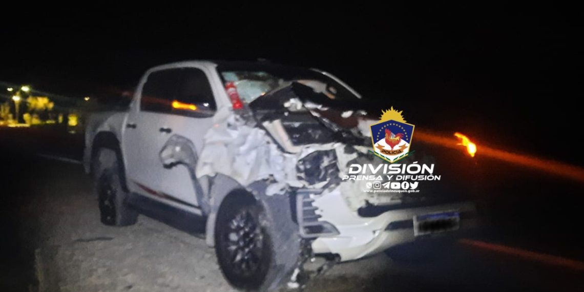 Ruta 22: una vaca provocó un fuerte choque entre un auto y una camioneta en Neuquén del Medio