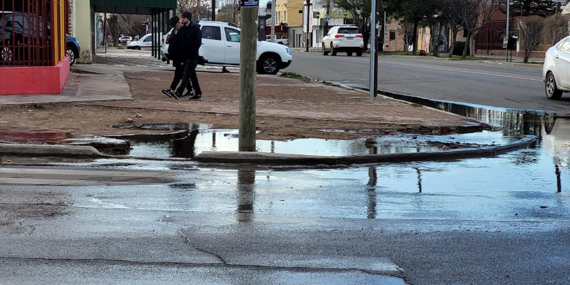 Barrio Centro Sur: sacaban un árbol y rompieron un caño de agua