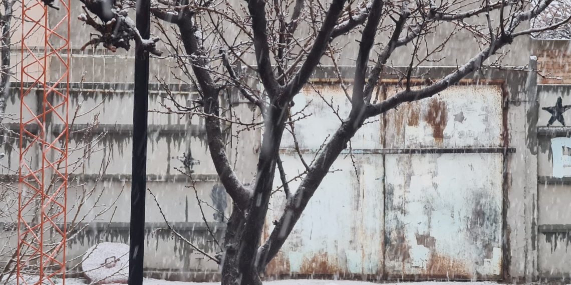 Nieva en Cutral Co y Plaza Huincul ¿Qué dice el pronóstico?