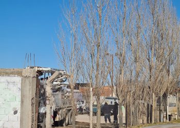 Plaza Huincul: Encontraron a una persona sin vida