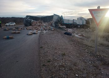 Ruta Nacional 237: Camión volcó al intentar evitar a caballos