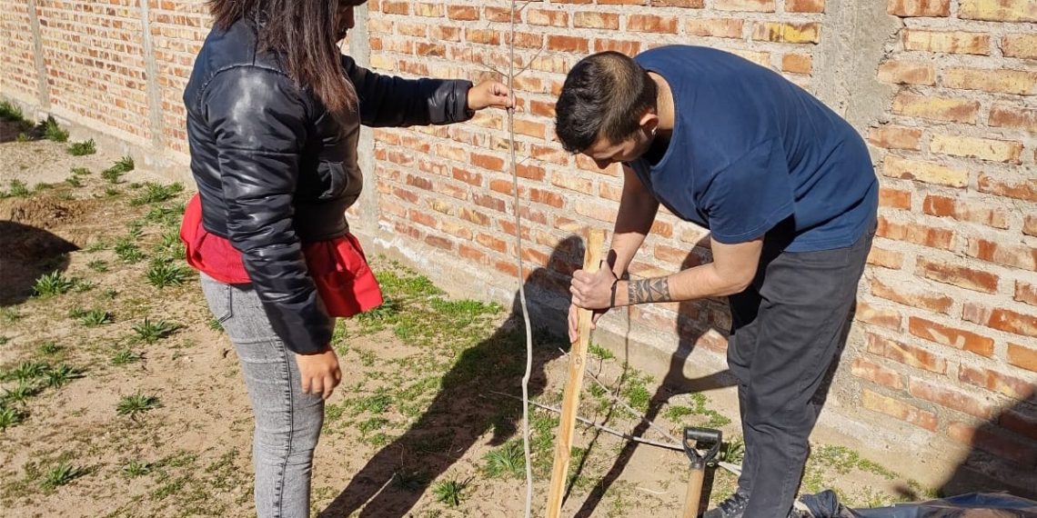 Plantaron árboles en el Centro de Formación Profesional 22 de Cutral Co