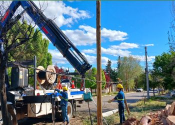 Sigue la reparación de cables que dañó el viento de parte de Copelco
