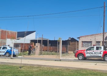 Incendio en Pueblo Nuevo: podría estar relacionado con la presencia de cuatro gatos