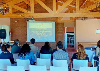 Empresa quiere construir un parque solar en embalse Los Barreales, cerca de Plaza Huincul