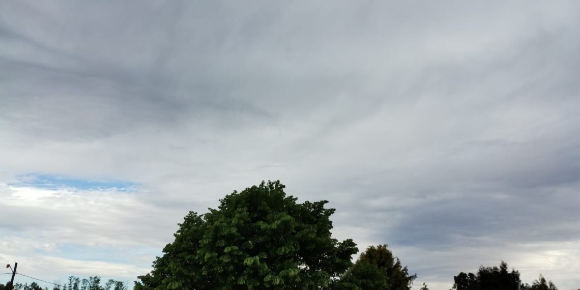 Pronóstico del tiempo para este domingo en Plaza Huincul y Cutral Co