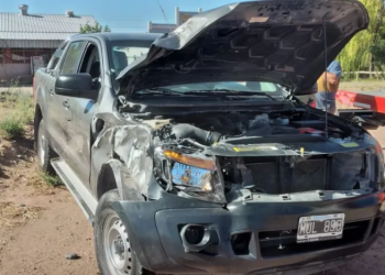 Chocón: camioneta chocó con un caballo en la ruta 237