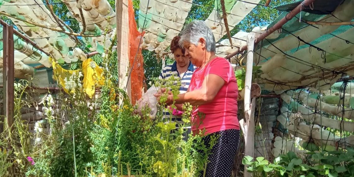 Cutral Co: relevaron a los productores locales