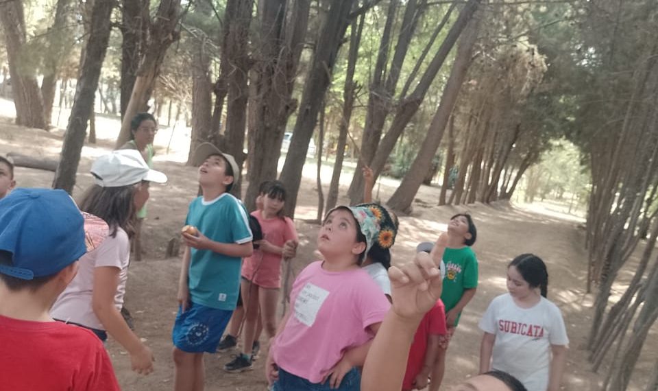 En Plaza Huincul implementaron una novedosa colonia de verano