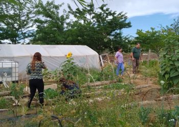 La Huerta del hospital de Cutral Co y Plaza Huincul comenzó sus actividades