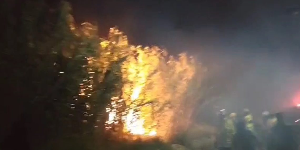 Bomberos denunciaron agresión mientras apagaban el incendio en Plaza Huincul