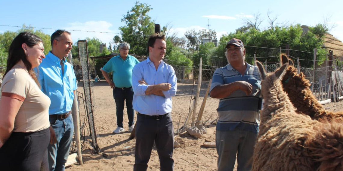 Juan Peláez visitó el predio de llamaterapia en Cutral Co