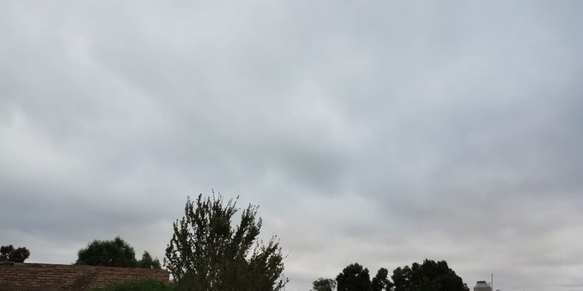 Pronóstico del tiempo para este domingo en Plaza Huincul y Cutral Co