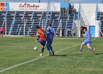Lifune: Cronograma completo e inicio de Predecima