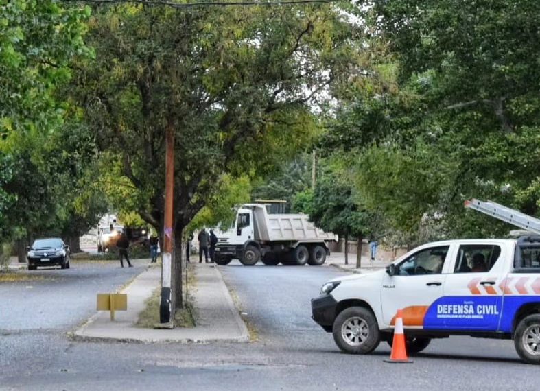 Interrumpirán el tránsito por la poda de árboles en un sector de Central
