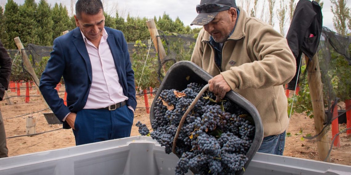 Rioseco puso en valor la producción local desde los viñedos