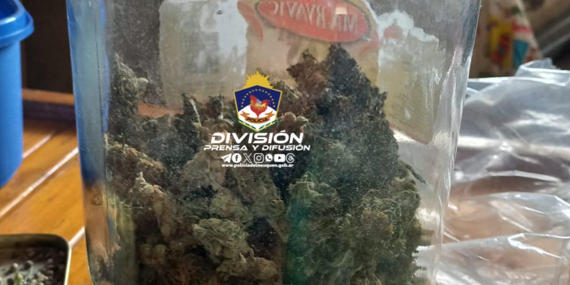 Secuestraron marihuana y un cartucho en un allanamiento que se hizo en Cutral Co