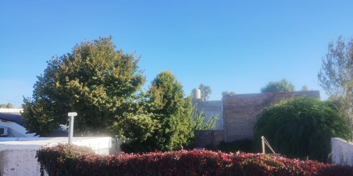 Este es el pronóstico del tiempo de este domingo en Plaza Huincul y Cutral Co