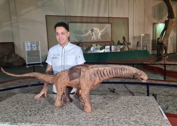 El Argentinosaurus Huinculensis de chocolate será la novedad para el cumple de Plaza