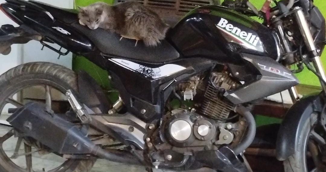 Cutral Co: Le robaron la moto a la salida de la escuela 255 y ofrece recompensa