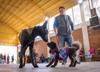 Cutral Co dedicó cuatro días a promover la adopción responsable de mascotas