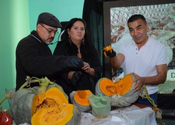 Cutral Co se prepara para celebrar su primera Fiesta del Zapallo