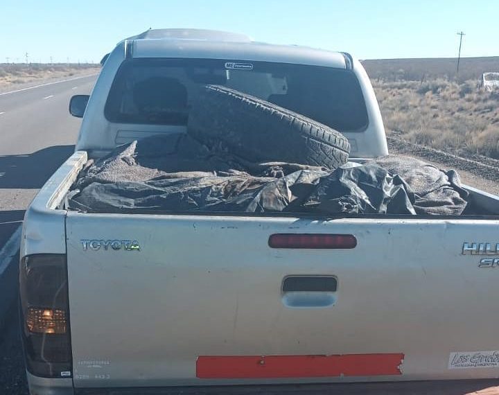 Decomisaron carne en la ruta nacional 22 que era transportada en una camioneta