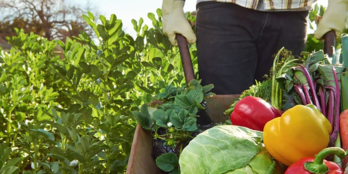 Habrá jornada informativa sobre financiamiento para Agricultura Familiar en Plaza Huincul