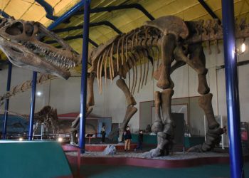 El museo Carmen Funes de Plaza Huincul tendrá actividades durante la semana