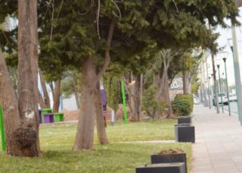 Robaron de plantas y macetones en Plaza Huincul