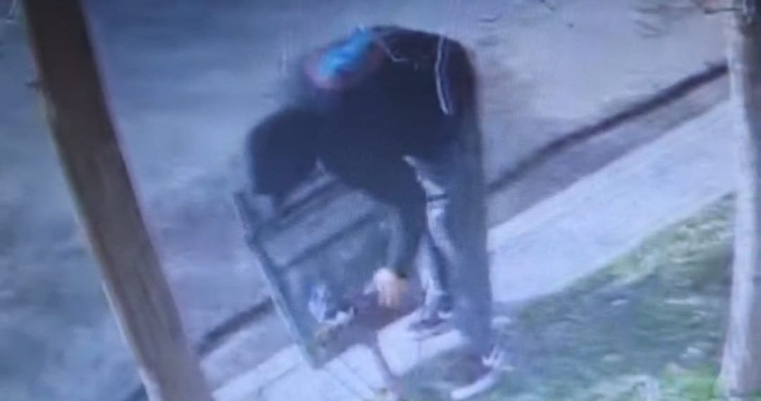 Alertan por robo de cestos de basura en Cutral Co