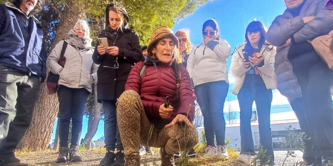 Se realizó el taller Plantas para la Salud en Plaza Huincul
