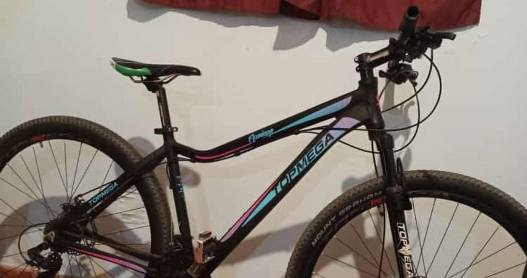 Cutral Co: Robaron una bicicleta y la busca