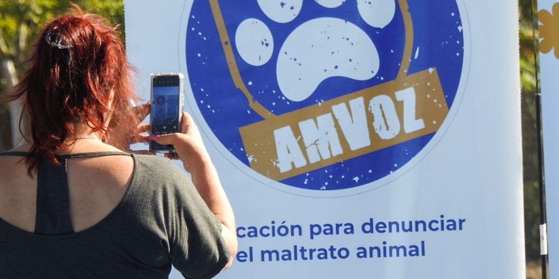 Hubo 700 denuncias de maltrato animal a través de la aplicación AMVoz en Neuquen