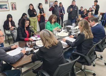Plaza Huincul: hubo sesión pero no se trató la tasa vial