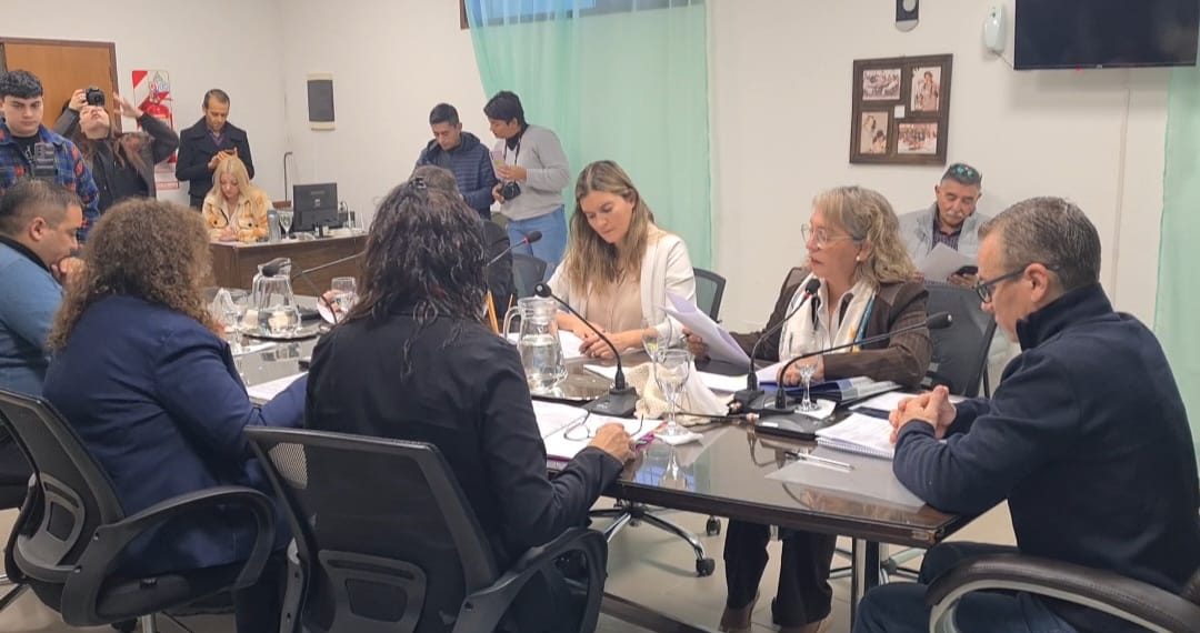 La 3° feria del Libro “Nuestras Letras” fue declarada de interés cultural en Plaza Huincul