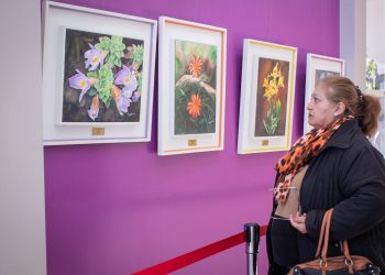 La Sala de Dioramas de Cutral Co festeja su 11° aniversario