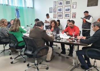 Concejales de Plaza Huincul aprobaron el adelanto salarial para los municipales