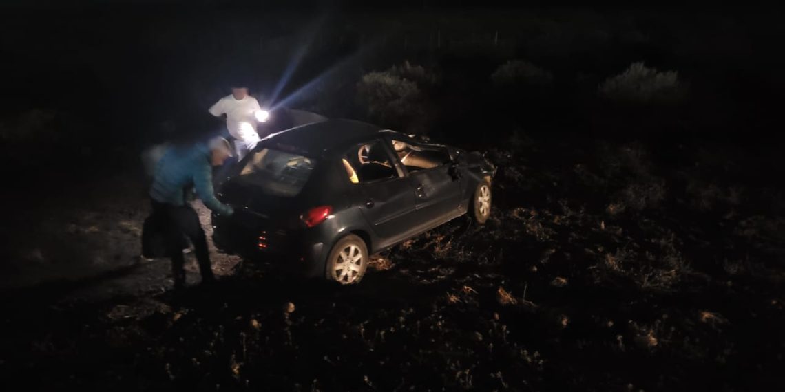 Animales sueltos en la Ruta 22: chocó contra una vaca antes de llegar a Plaza Huincul