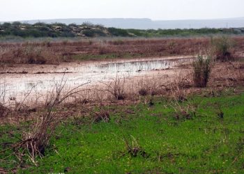 Habrá caminata de trekking hasta la Laguna Colorada en Plaza Huincul