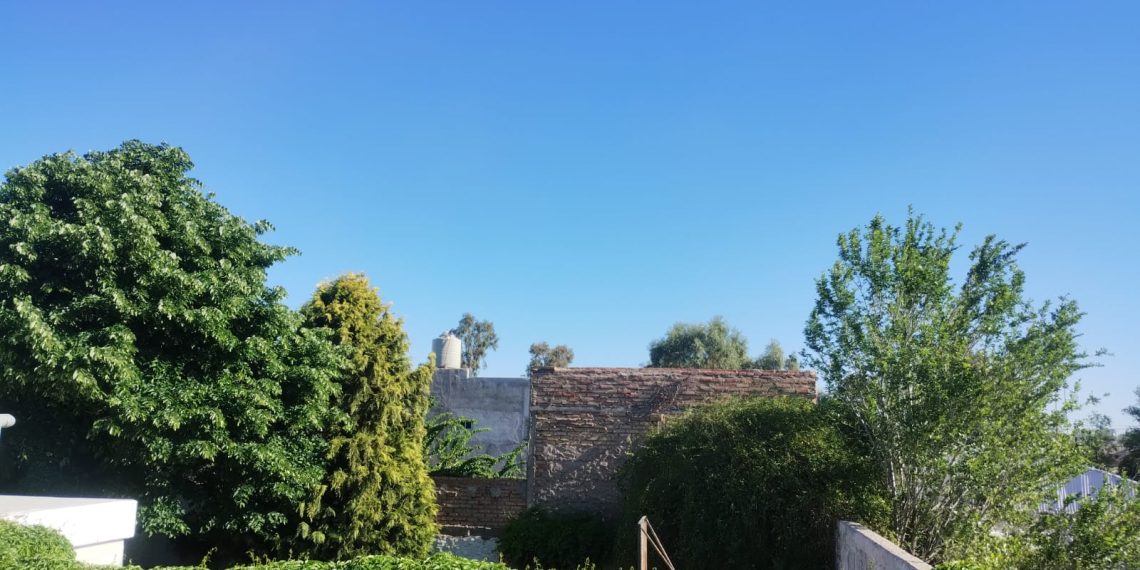 Este es el pronóstico del tiempo para este domingo en Plaza Huincul y Cutral Co