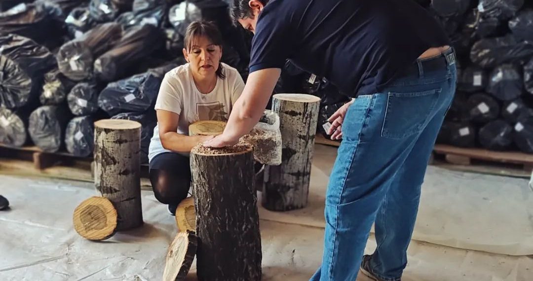 Plaza Huincul: “Patagonia Norte Hongos” anunció producción de gírgolas para marzo