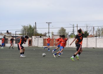 Cronograma de Lifune para la fecha 5