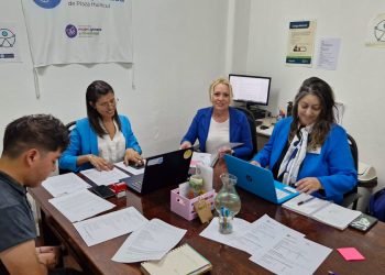 Consejo de Discapacidad de Plaza Huincul: cómo funcionará