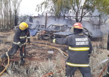 Voraz incendio en un sector de Filli Dei Norte, en la zona semirrural de Cutral Co