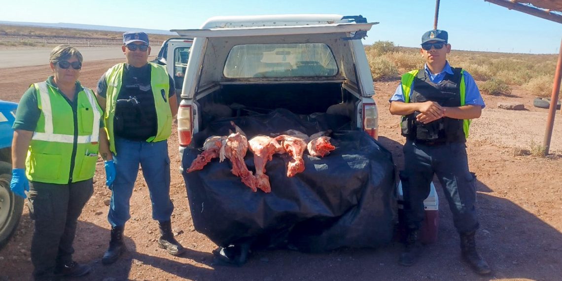 Secuestraron más de mil kilos de carne que se transportaban de manera ilegal en Vaca Muerta